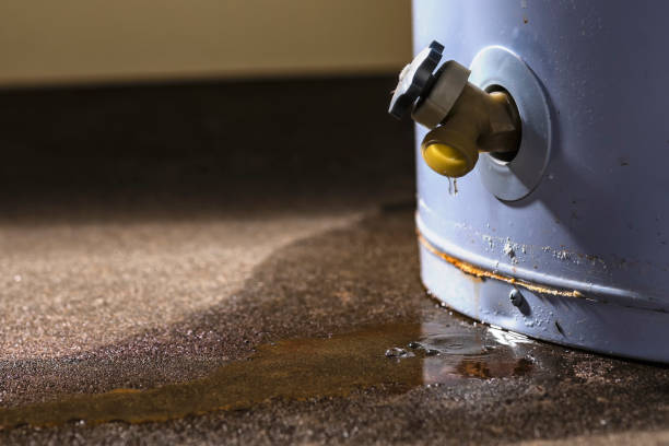 Best Professional water damage repair  in Graham, WA