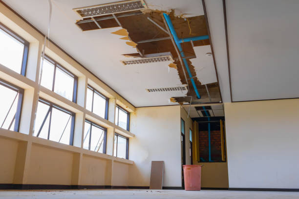 Best Local water damage restoration  in Graham, WA