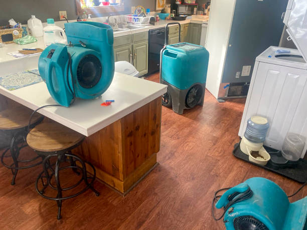 Best Water damage restoration services  in Graham, WA