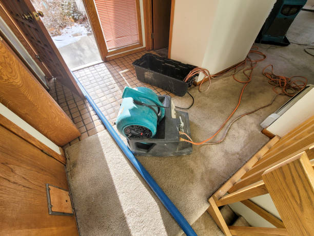 Best Commercial water damage restoration  in Graham, WA