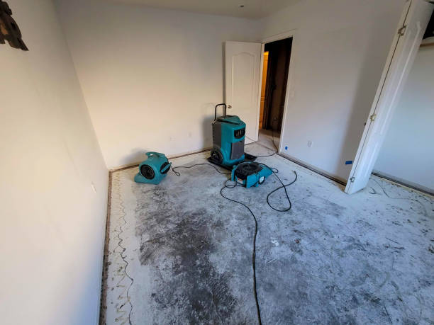 Best Water damage restoration mold remediation  in Graham, WA