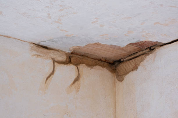Best 24/7 water damage repair  in Graham, WA