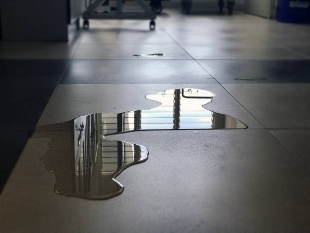 Best Water damage restoration near me  in Graham, WA