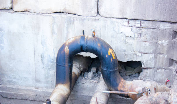 Best Mold removal after water damage  in Graham, WA