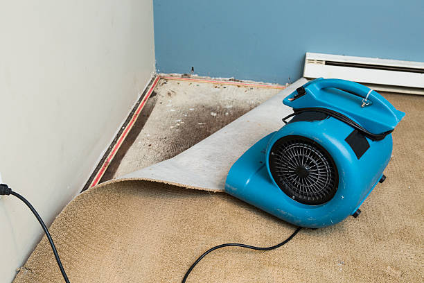 Water damage restoration process in WA